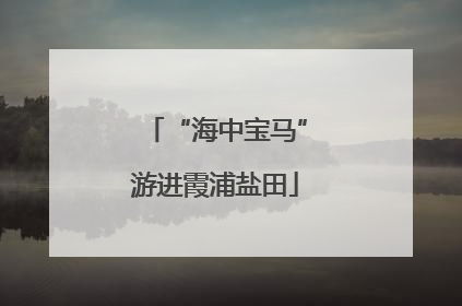 “海中宝马”游进霞浦盐田