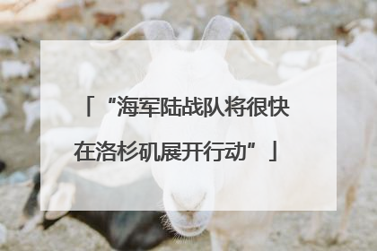 “海军陆战队将很快在洛杉矶展开行动”