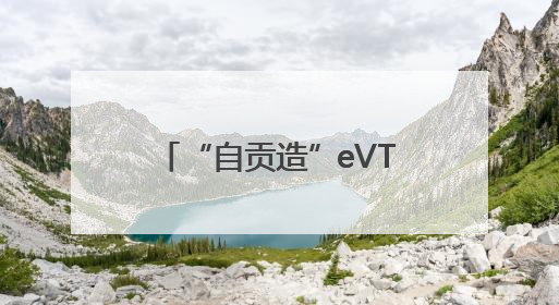 “自贡造”eVTOL航空器沃兰特VE25-100原型机正式亮相