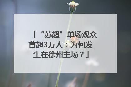 “苏超”单场观众首超3万人：为何发生在徐州主场？
