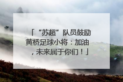 “苏超”队员鼓励黄桥足球小将：加油，未来属于你们！