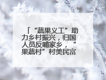 “蔬果义工”助力乡村振兴，归国人员反哺家乡，“果蔬村”村美民富香飘远近