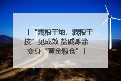 “藏粮于地、藏粮于技”见成效 盐碱滩涂变身“黄金粮仓”