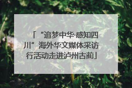 “追梦中华·感知四川”海外华文媒体采访行活动走进泸州古蔺