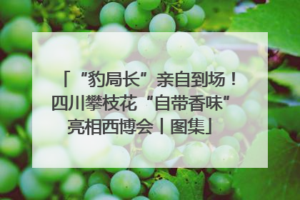“豹局长”亲自到场！四川攀枝花“自带香味”亮相西博会丨图集