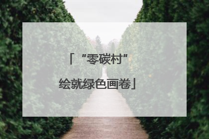 “零碳村” 绘就绿色画卷