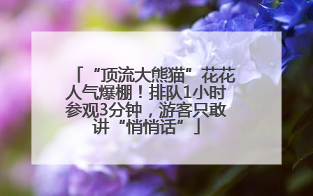 “顶流大熊猫”花花人气爆棚！排队1小时参观3分钟，游客只敢讲“悄悄话”
