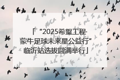 “2025希望工程·蒙牛足球未来星公益行”临沂站选拔圆满举行