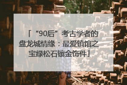 “90后”考古学者的盘龙城情缘：最爱镇馆之宝绿松石镶金饰件
