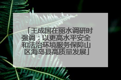 王成国在丽水调研时强调：以更高水平安全和法治环境服务保障山区海岛县高质量发展