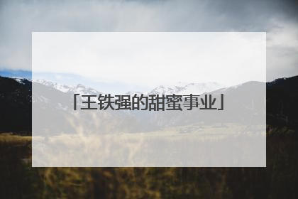 王铁强的甜蜜事业