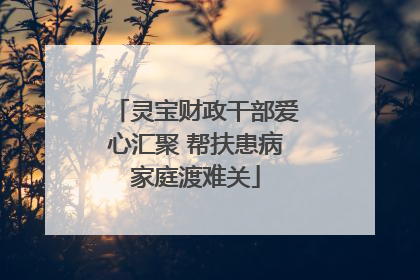 灵宝财政干部爱心汇聚 帮扶患病家庭渡难关