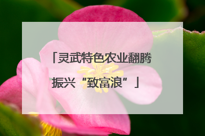 灵武特色农业翻腾振兴“致富浪”