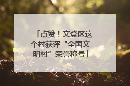 点赞！文登区这个村获评“全国文明村”荣誉称号