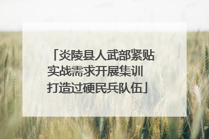 炎陵县人武部紧贴实战需求开展集训 打造过硬民兵队伍