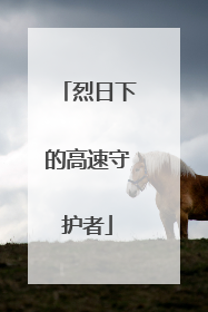 烈日下的高速守护者