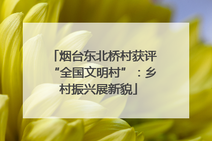 烟台东北桥村获评“全国文明村”：乡村振兴展新貌