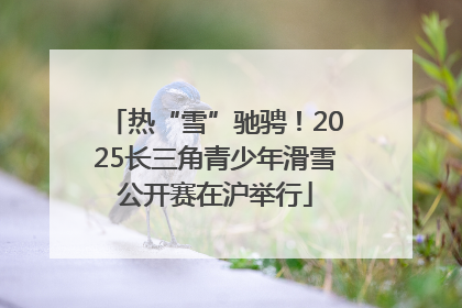 热“雪”驰骋！2025长三角青少年滑雪公开赛在沪举行