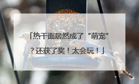 热干面居然成了“萌宠”？还获了奖！太会玩！