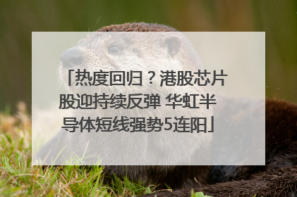 热度回归？港股芯片股迎持续反弹 华虹半导体短线强势5连阳