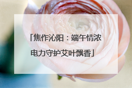 焦作沁阳：端午情浓 电力守护艾叶飘香
