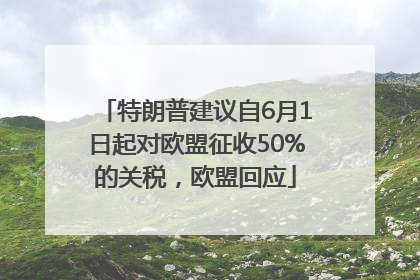 特朗普建议自6月1日起对欧盟征收50%的关税，欧盟回应