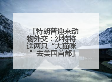 特朗普迎来动物外交：沙特将送两只“大猫咪”去美国首都