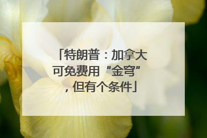特朗普：加拿大可免费用“金穹”，但有个条件