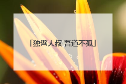 独臂大叔 吾道不孤