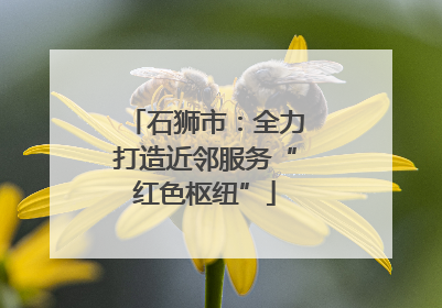 石狮市：全力打造近邻服务“红色枢纽”