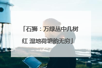 石狮：万绿丛中几树红 湿地荷塘韵无穷
