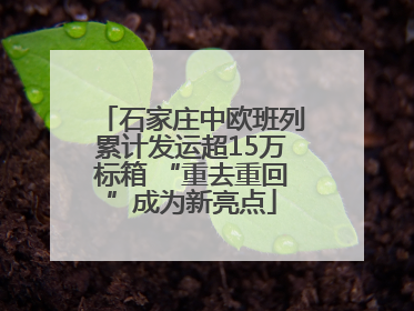 石家庄中欧班列累计发运超15万标箱 “重去重回”成为新亮点