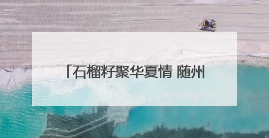 石榴籽聚华夏情 随州职院学子共绘团结卷