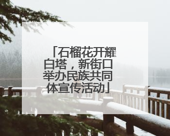 石榴花开耀白塔，新街口举办民族共同体宣传活动