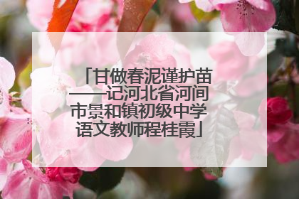 甘做春泥谨护苗——记河北省河间市景和镇初级中学语文教师程桂霞