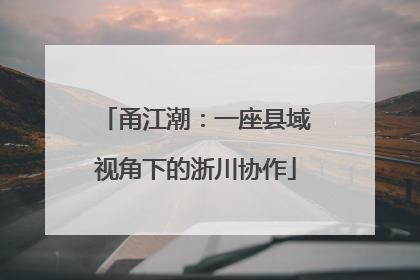 甬江潮：一座县域视角下的浙川协作
