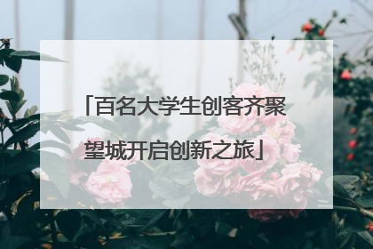 百名大学生创客齐聚望城开启创新之旅