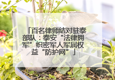 百名律师结对驻泰部队：泰安“法律拥军”织密军人军属权益“防护网”