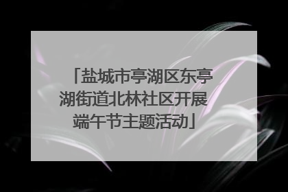 盐城市亭湖区东亭湖街道北林社区开展端午节主题活动