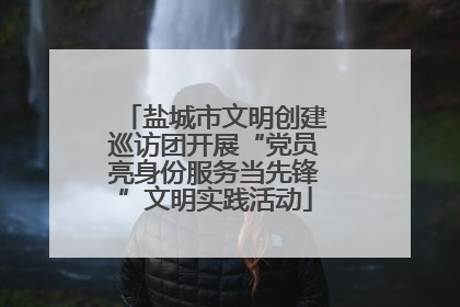 盐城市文明创建巡访团开展“党员亮身份服务当先锋”文明实践活动