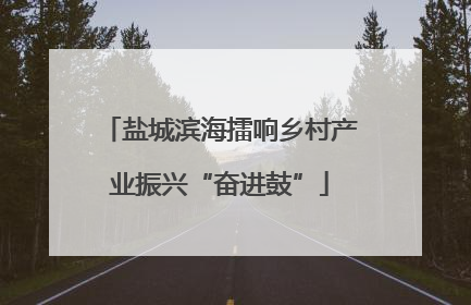 盐城滨海擂响乡村产业振兴“奋进鼓”