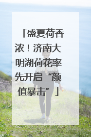 盛夏荷香浓！济南大明湖荷花率先开启“颜值暴击”