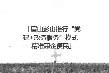 眉山彭山推行“党建+政务服务”模式 精准惠企便民