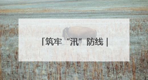 筑牢“汛”防线｜慈利县罗塔坪乡：以“迅”应“汛” 打赢暴雨防御战