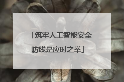 筑牢人工智能安全防线是应时之举