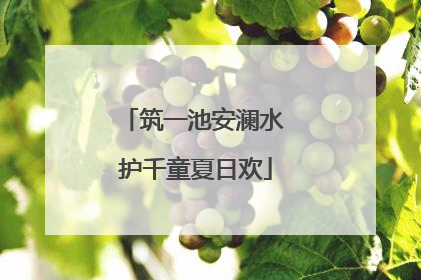 筑一池安澜水 护千童夏日欢