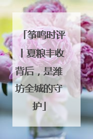 筝鸣时评丨夏粮丰收背后，是潍坊全城的守护