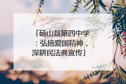 砀山县第四中学：弘扬爱国精神，深耕民法典宣传