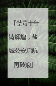 禁毒十年铸辉煌，盐城公安启航再破浪