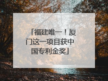 福建唯一！厦门这一项目获中国专利金奖